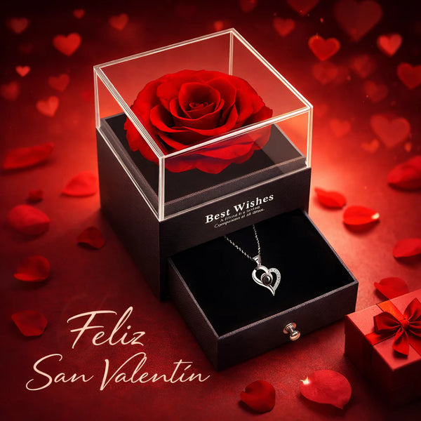 Rosa Eterna con Collar