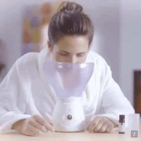 Vaporizador Facial NTFS SPA Pro