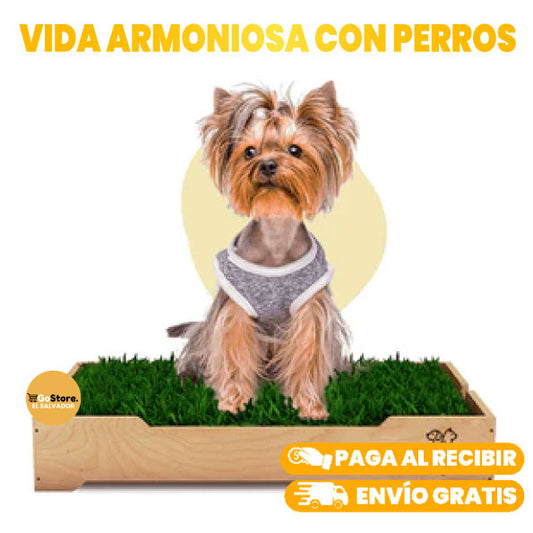 BAÑO PORTATIL PARA PERROS