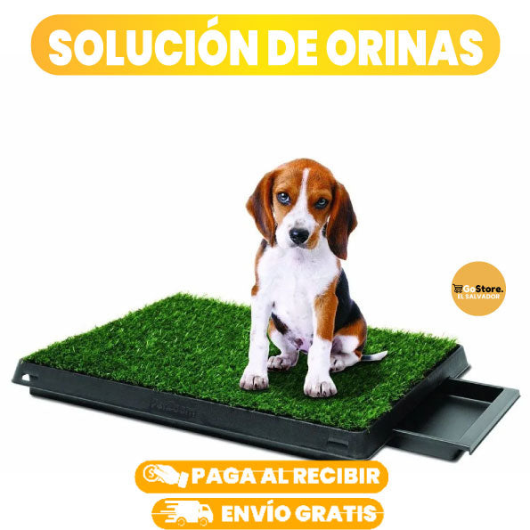 BAÑO PORTATIL PARA PERROS