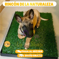 BAÑO PORTATIL PARA PERROS