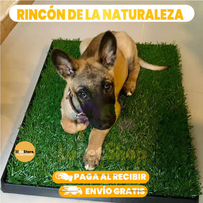 BAÑO PORTATIL PARA PERROS