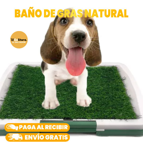 BAÑO PORTATIL PARA PERROS