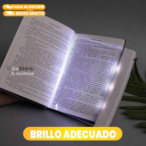 LUZ DE PANEL DE LECTURA CON ILUMINACIÓN