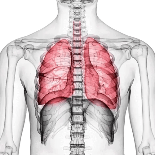 Entrenador Respiratorio OXYFIT