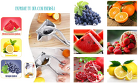 Exprimidor Inoxidable de Jugo Natural