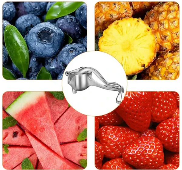 Exprimidor Inoxidable de Jugo Natural